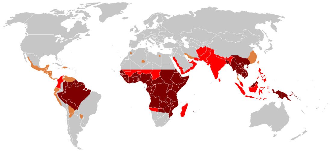 Malaria: first symptoms and treatment