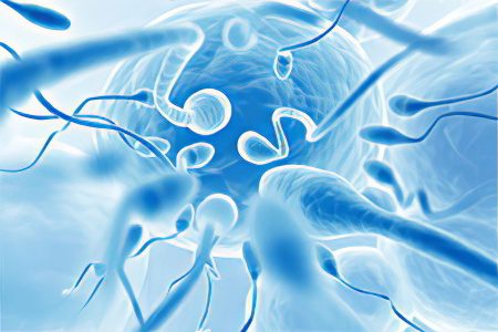 Male infertility: myths and reality