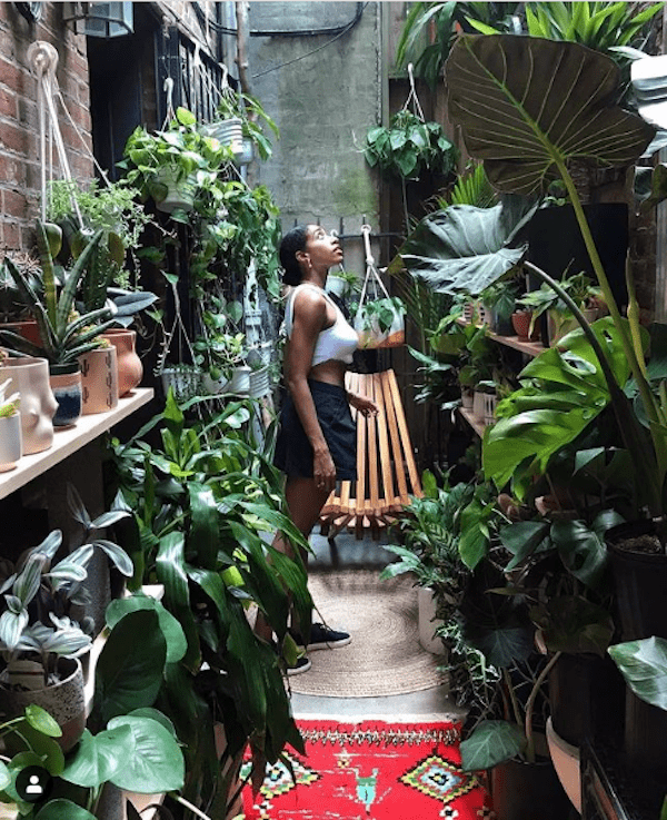 Mass gardening: why millennials are obsessed with house plants