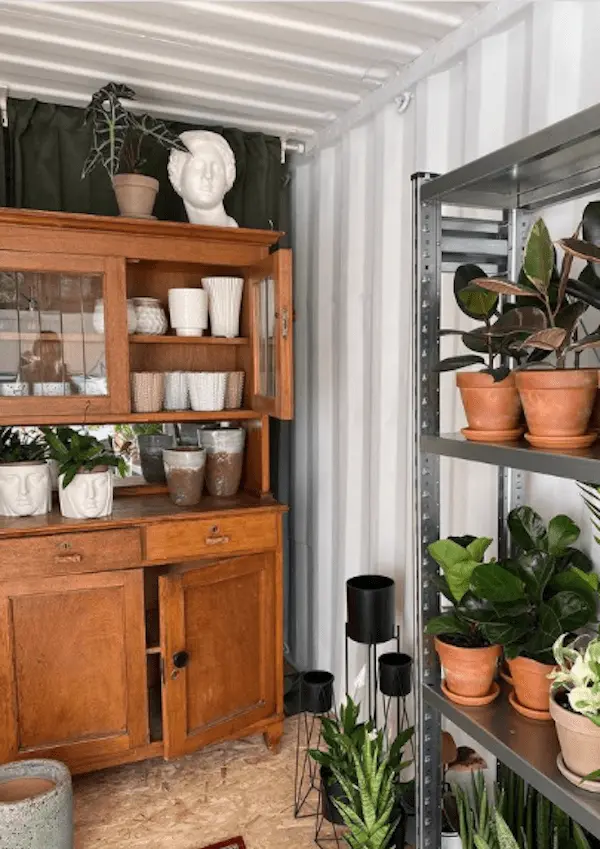 Mass gardening: why millennials are obsessed with house plants