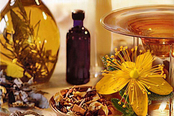 Medicinal properties and contraindications of St. Johns wort