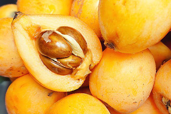 Medlar - what kind of fruit? What does it taste like and how is it eaten?