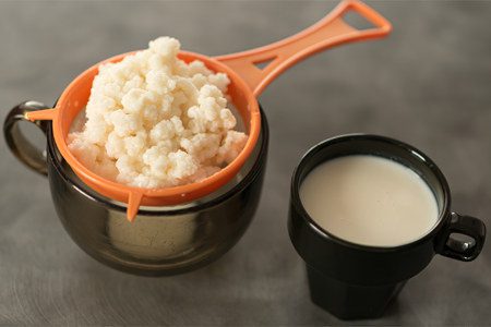 Milk mushroom (Tibetan, kefir)