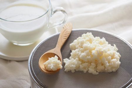 Milk mushroom (Tibetan, kefir)