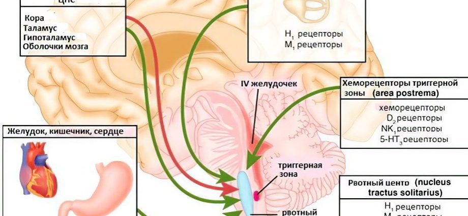 Nausea: diseases that cause nausea, treatment