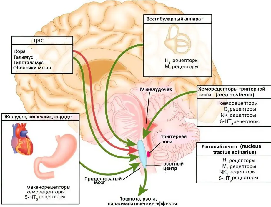 Nausea: diseases that cause nausea, treatment