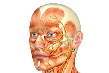 Neuritis of the facial nerve: symptoms and treatment