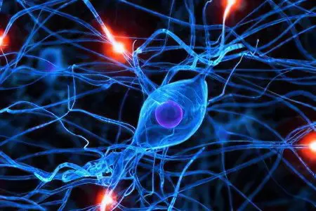 Neuropathy: causes, symptoms, treatment