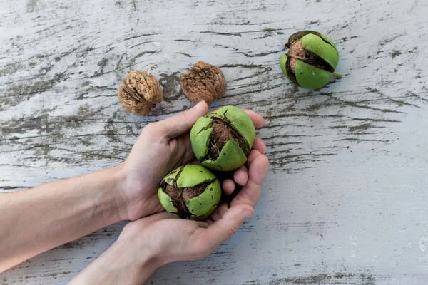 How to Wash YOUR HANDS OF NUTS at Home: TIPS