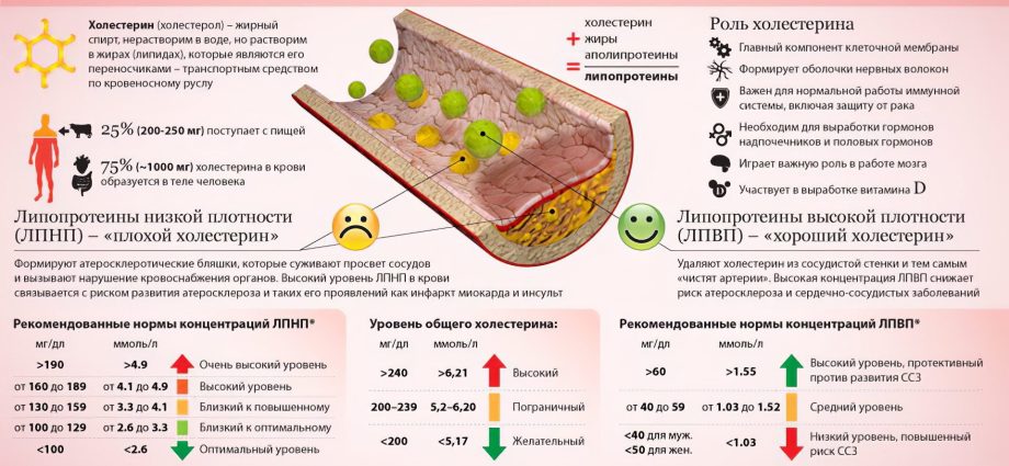 Norm of cholesterol in the blood in women and men by age