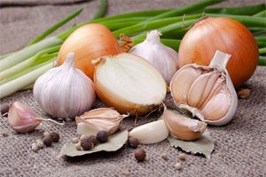 Onion and garlic 80% protect against colon cancer