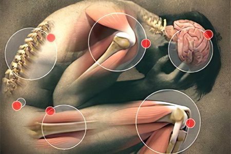 Pain in the knee joint