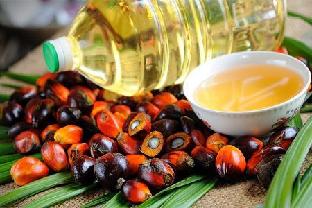 Palm oil &#8211; good or bad? 10 myths