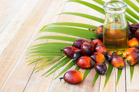 Palm oil - good or bad? 10 myths