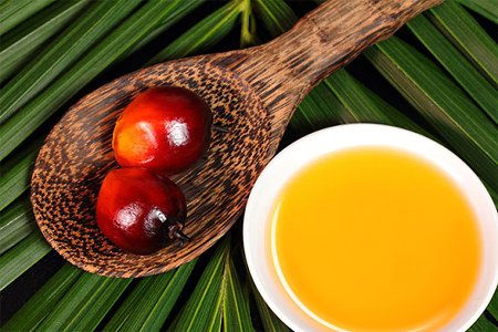 Palm oil - good or bad? 10 myths