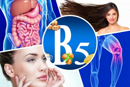 Pantothenic acid: why do we need vitamin B5, where is it found?