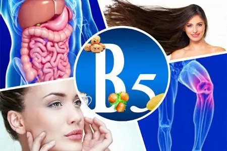 Pantothenic acid: why do we need vitamin B5, where is it found?