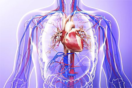 Paroxysmal tachycardia