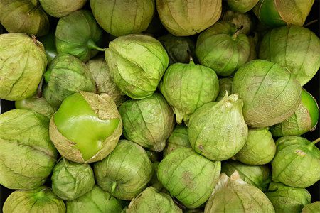 Physalis: benefits and harms, contraindications