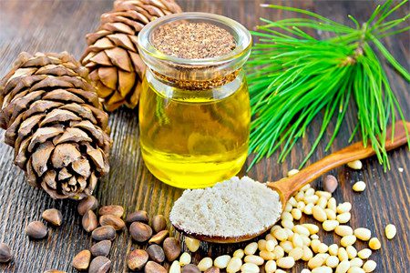 Pine nuts: benefits and harms, the rate of use