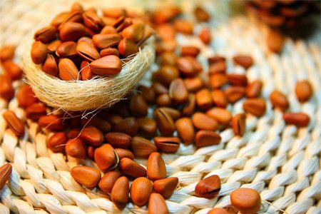 Pine nuts: benefits and harms, the rate of use