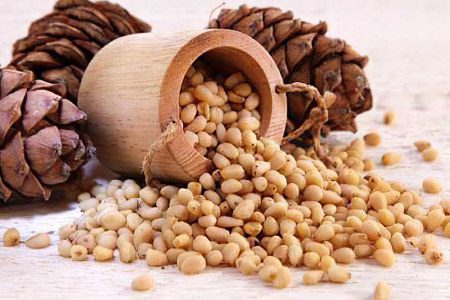 Pine nuts: benefits and harms, the rate of use