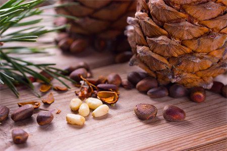 Pine nuts: benefits and harms, the rate of use