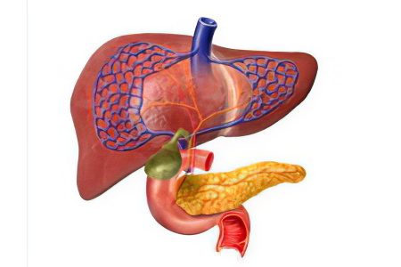 Polyps in the gallbladder - what to do?