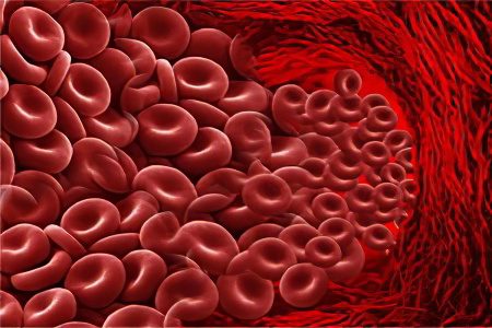 Products that prevent the formation of blood clots and thin them