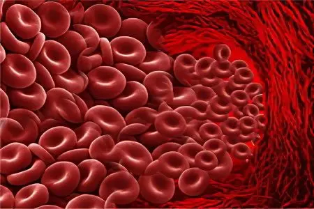 Products that prevent the formation of blood clots and thin them