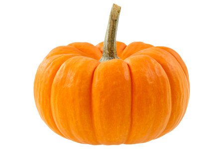 Pumpkin: benefits and harms to the body, recipes