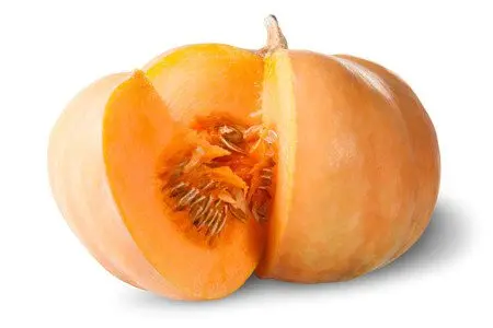 Pumpkin: benefits and harms to the body, recipes