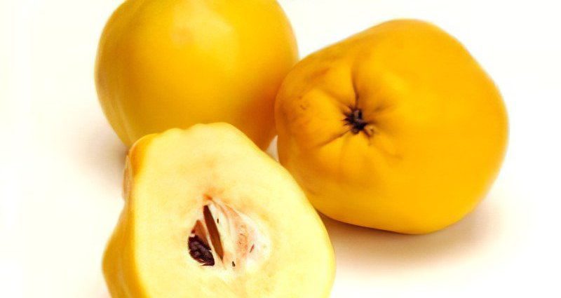 Quince: useful properties, recipes