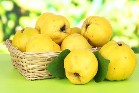 Quince: useful properties, recipes