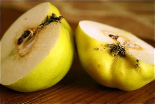 Quince: useful properties, recipes