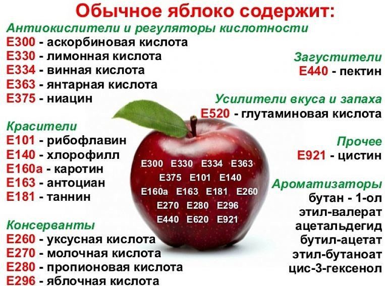 Scientific explanations about genetically modified foods