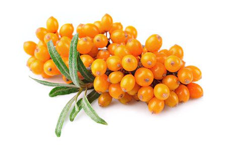 Sea buckthorn: benefits for men and women, composition, preparation