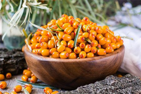 Sea buckthorn: benefits for men and women, composition, preparation