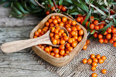 Sea buckthorn: benefits for men and women, composition, preparation