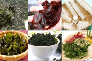 Seaweed: benefits, uses and recipes