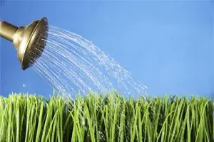 Silicon water - a remedy for 100 diseases