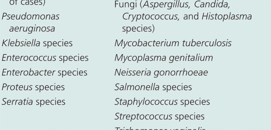 Staphylococcus is the cause of prostatitis. Treatment of staphylococcus