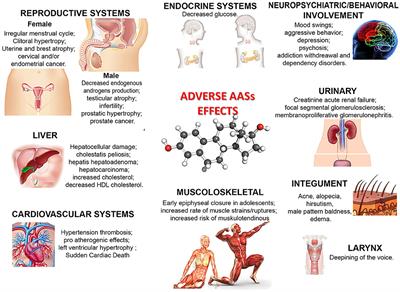 Steroid Abuse: Risks and Consequences