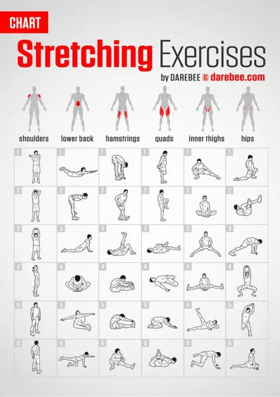 Stretching Workouts