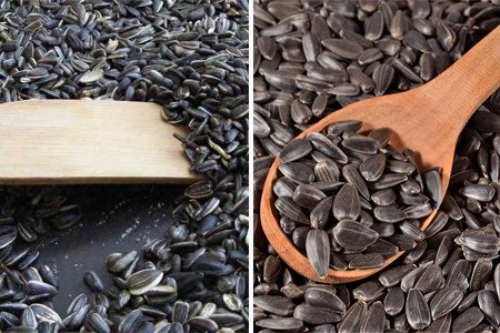 Sunflower seeds: benefits and harms to the body