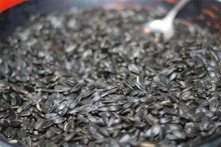 Sunflower seeds: benefits and harms to the body