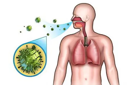 Symptoms and treatment of staphylococcus in the throat, what is dangerous, how is it transmitted?