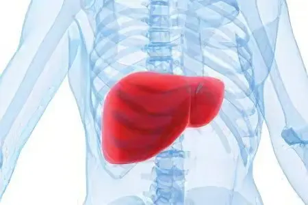 Symptoms, signs and treatment of liver disease