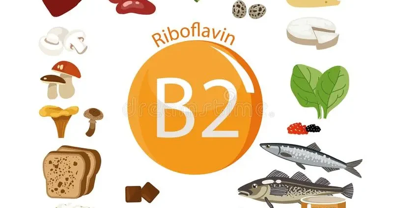 Table of animal products with vitamin B2 content