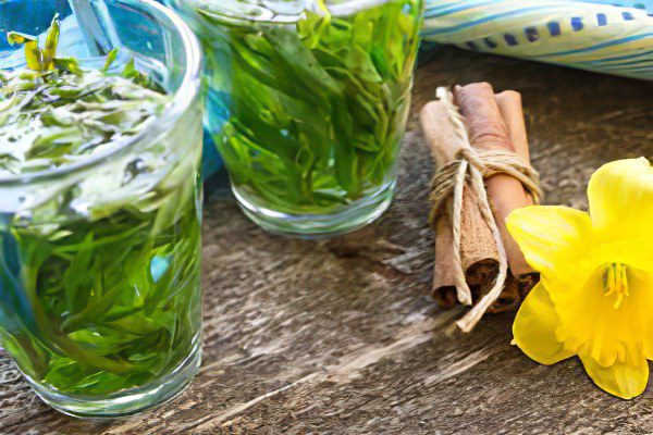 Tarragon: useful and medicinal properties, contraindications